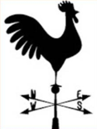 Haan of zwaan